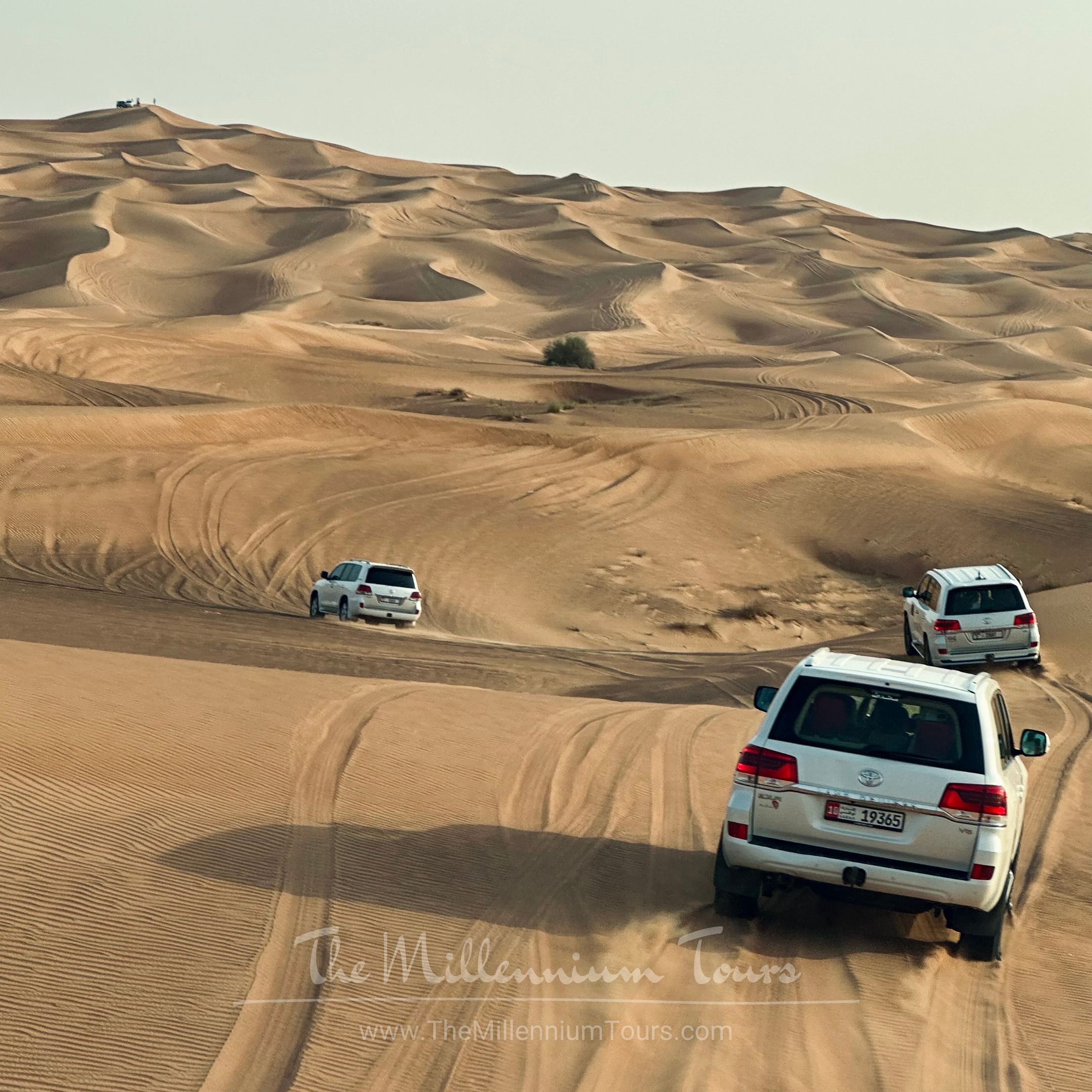 Evening Desert Safari